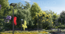 The Grove at Sanctuary 105